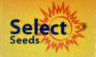 SELECT SEEDS