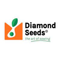 DIAMOND SEEDS