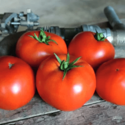 ΕΠΙΤΡΑΠΕΖΙΑ - Σπόροι Τομάτας Pratico F1 Beef - 1000 σπόροι