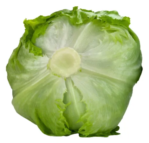 ICEBERG - Σπόροι Μαρουλιού Vernalia Iceberg (P)-5000 σπόροι - 5000 σπόροι