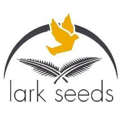 LARK SEEDS