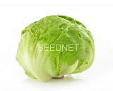 Σπόροι Μαρουλιού Aspirata Iceberg