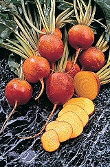 BURPEES GOLDEN Παντζάρι-250gr