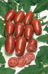 Σπόροι Τομάτας Agro 1000 σπόροι