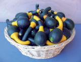 Σπόροι Διακοσμητικής Κολοκύθας Koshare Yellow 250 σπόροι