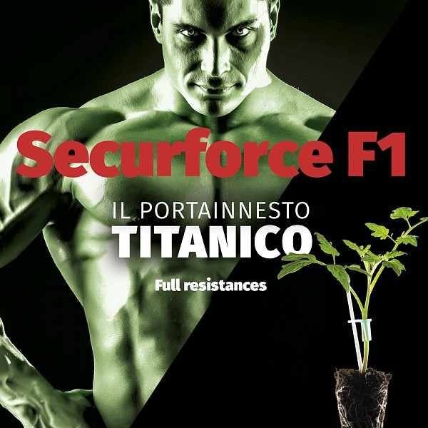 SECUREFORCE