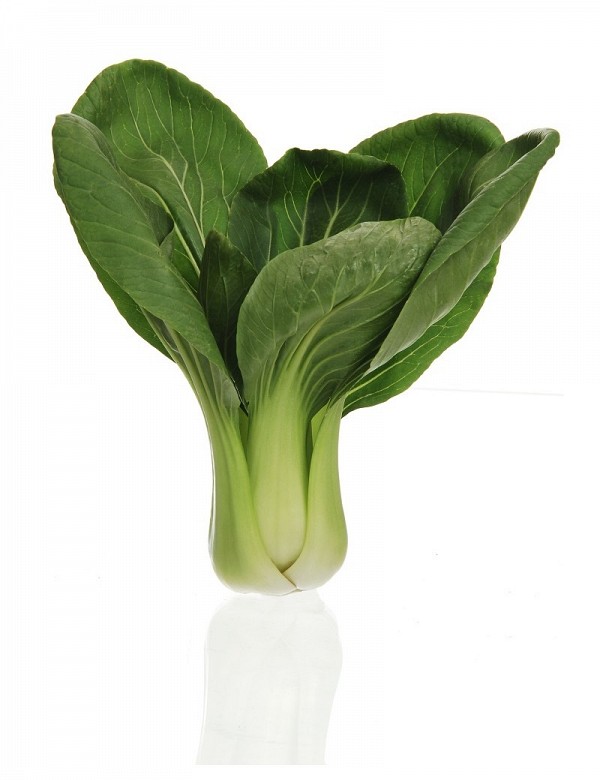 YOU QING CHOI