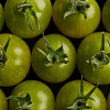 Σπόροι Τομάτας Sungreen F1 Cherry