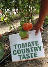 Σπόροι Τομάτας Country Taste 250 σπόροι