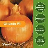 Σπόροι Κρεμμυδιού Orlando F1