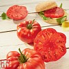 Σπόροι Τομάτας Buffalosteak 250 σπόροι