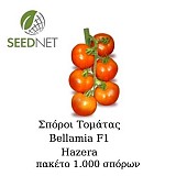 Σπόροι Τομάτας Bellamia GSPP F1 1000 σπόροι