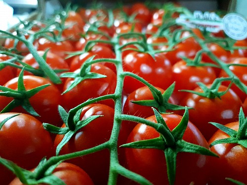 ΤΥΠΟΥ CHERRY - Σπόροι Τομάτας Creativo Cherry - 1000 σπόροι