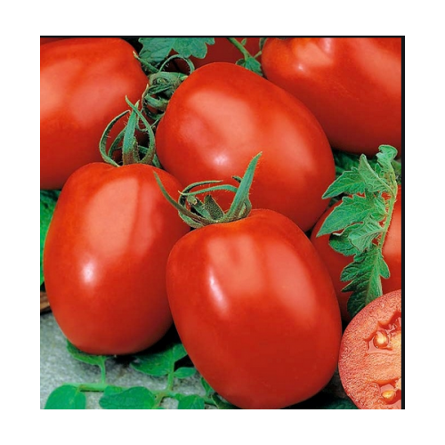ΤΥΠΟΥ CHERRY - Σπόροι Τομάτας Grande F1 Cherry - 1000 σπόροι