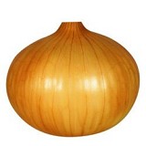 Σπόροι Κρεμμυδιού Hamaemi Bulbs