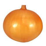 Σπόροι Κρεμμυδιού Takanishiki Bulbs