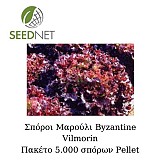 Σπόροι Μαρουλιού Byzantine (P) 5000 σπόροι