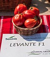 Σπόροι Τομάτας Levante 1000 σπόροι