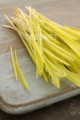 Σπόροι Pop Corn Microgreens-Φύτρες