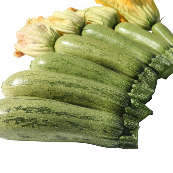 Σπόροι Κολοκυθιού Dolmas Standard