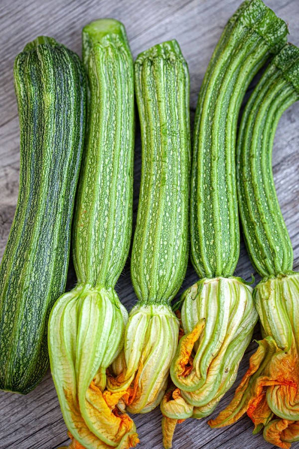 Σπόροι Κολοκυθιού Romanesco F1 100gr