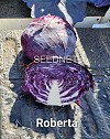 Σπόροι Λάχανου Roberta F1 2500 σπόροι
