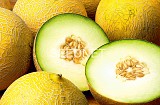 Σπόροι Πεπονιού Fenomenon Galia