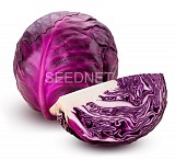 Σπόροι Λάχανου Red Jewel F1 2500 σπόροι