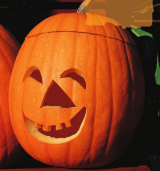 Σπόροι Κολοκύθας Jack O' Lantern