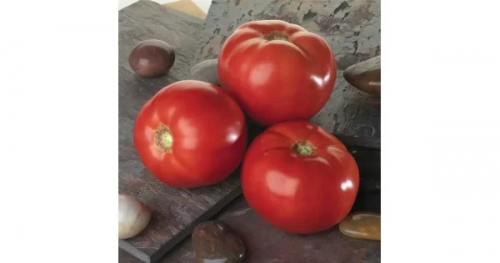 Σπόροι Τομάτας Amapola Beef - 1000 σπόροι