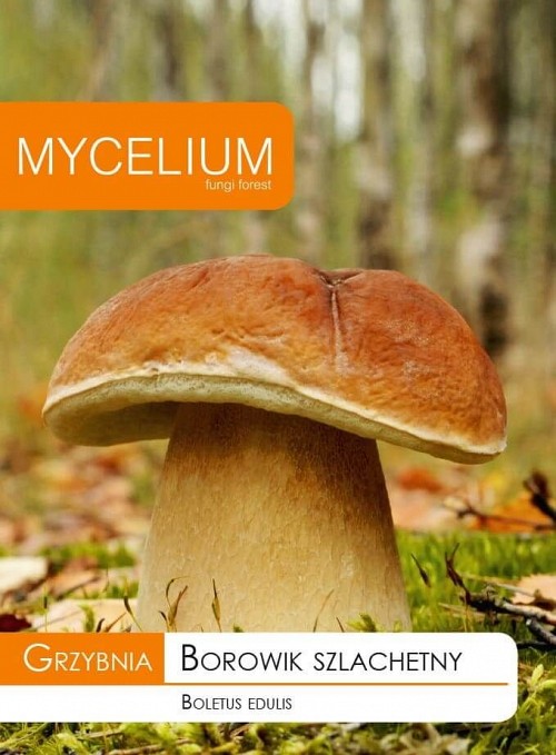 ΜΥΚΗΛΙΑ ΜΑΝΙΤΑΡΙΩΝ - Mυκήλια Μανιταριού Boletus edulis - 10 gr σπόροι