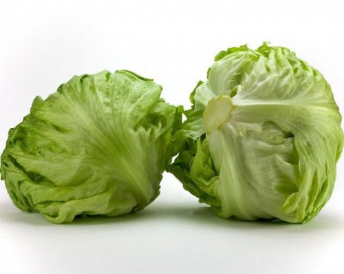 ICEBERG - Σπόροι Μαρουλιού Zasmira Iceberg (P)-5000 σπόροι - 5000 σπόροι