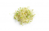 Σπόροι AlfaAlfa Sprouts 2.5KG