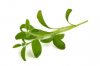 Σπόροι Pea White Microgreens 5kg