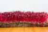 BIO Amaranth Red Microgreens Σπόροι 500g