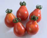 Σπόροι Τομάτας Red Pear 1000 σπόροι