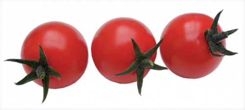ΤΥΠΟΥ CHERRY - Σπόροι Τομάτας Ready F1 1000 σπόροι - 1000 σπόροι