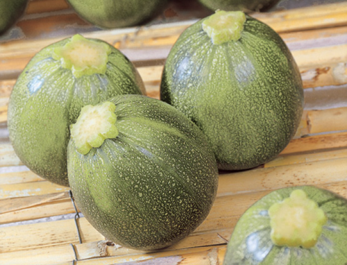 ΣΤΡΟΓΓΥΛΑ - Σπόροι κολοκυθιού De Nice A Fruit Rond F1 250gr - 250gr σπόροι