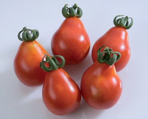 ΕΙΔΙΚΟΥ ΤΥΠΟΥ - Σπόροι Τομάτας Red Pear 1000 σπόροι - 1000 σπόροι