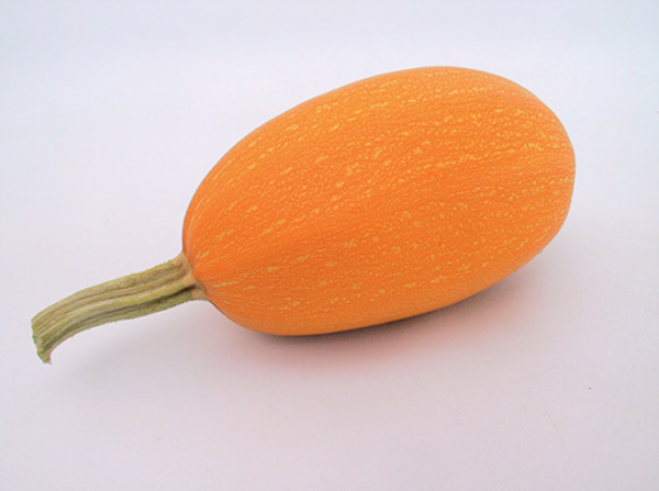 Σπόροι Κολοκύθας Orangetti F1 1000 σπόροι