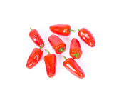 Σπόροι Πιπεριάς Red Tatin 500 σπόροι