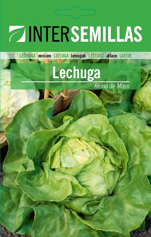 ΣΠΟΡΟΙ BABY LEAVES - LECHUGA INTERSEMILLAS_ROMANA TYPE LETTUCE VALLADOLID - 50gr σπόροι
