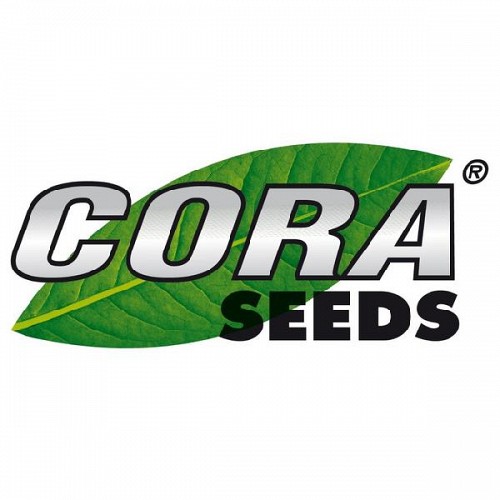 CORA SEEDS