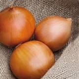 ZAMBEZZI
